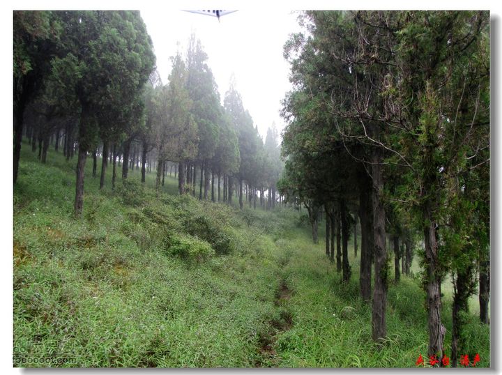 西北峪村-夹谷台雨中即景
