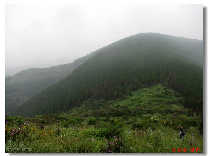 西北峪村-夹谷台山坡远望