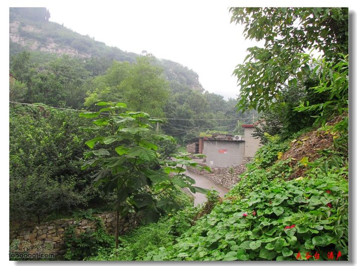 西北峪村-夹谷台IMG_0246