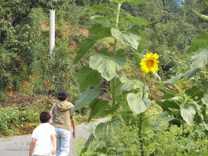 休闲十三陵RIMG0071