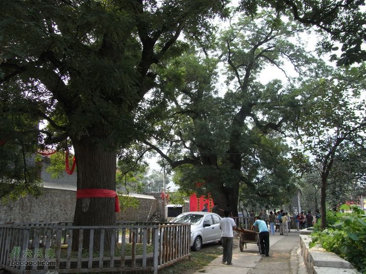 休闲十三陵RIMG0093