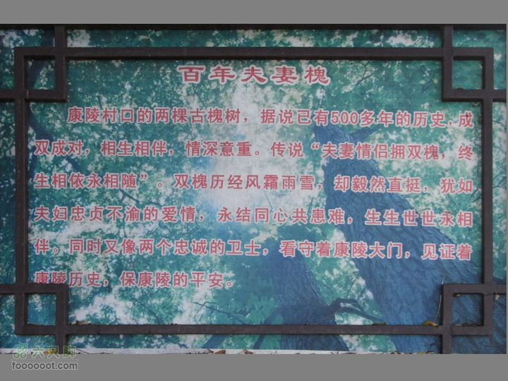 休闲十三陵RIMG0094