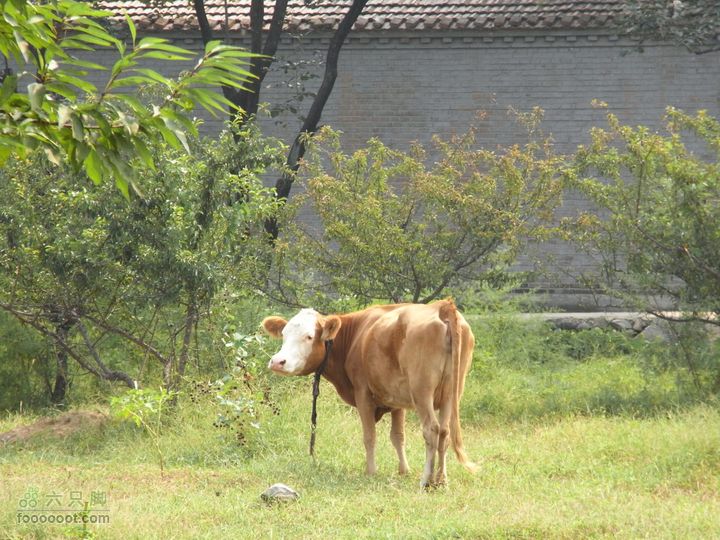 休闲十三陵RIMG0102