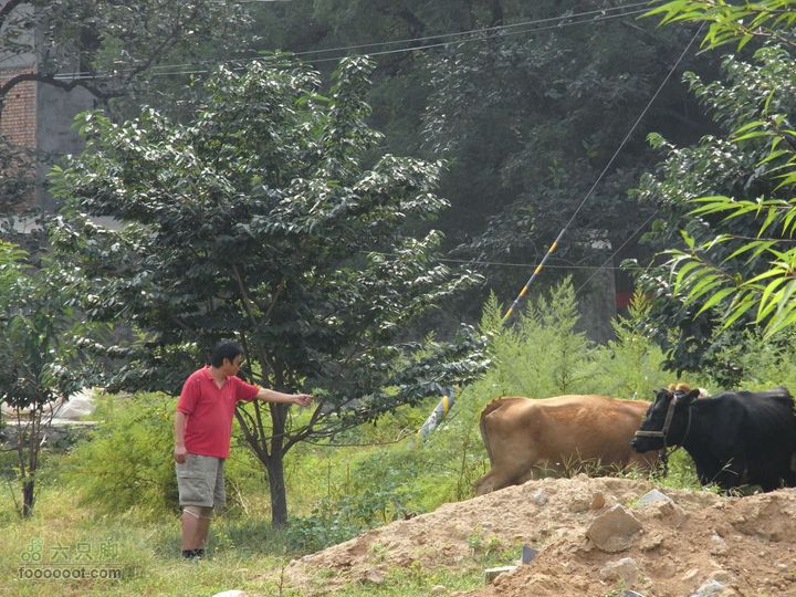 休闲十三陵RIMG0108