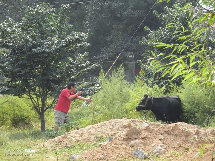 休闲十三陵RIMG0110