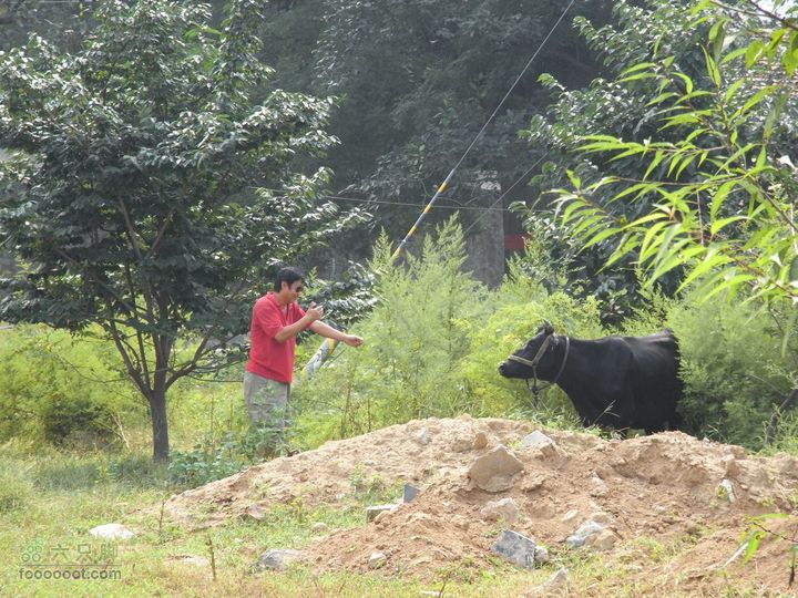 休闲十三陵RIMG0112