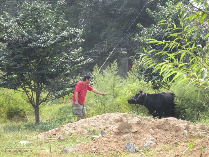 休闲十三陵RIMG0114