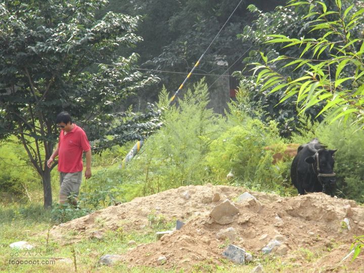 休闲十三陵RIMG0118