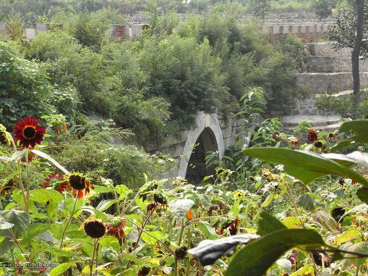 休闲十三陵RIMG0124