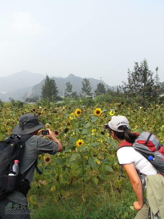 休闲十三陵RIMG0126