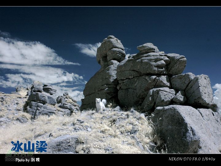 赤城县冰山梁梦幻之旅DSC_0236