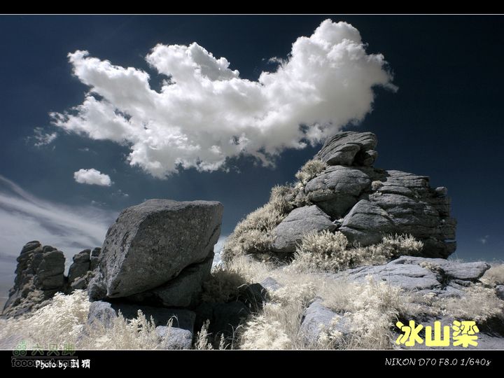赤城县冰山梁梦幻之旅DSC_0255