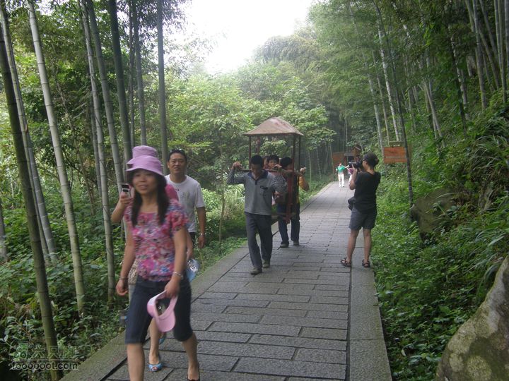 夜登明月山P8284158