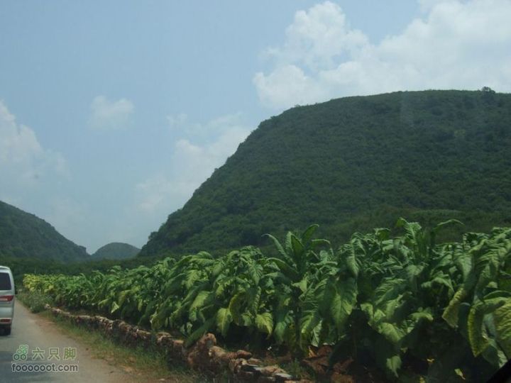云南个旧至昆明323国道214省道最新路况DSCF1443