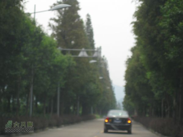 高桥-河姆渡IMG_5562