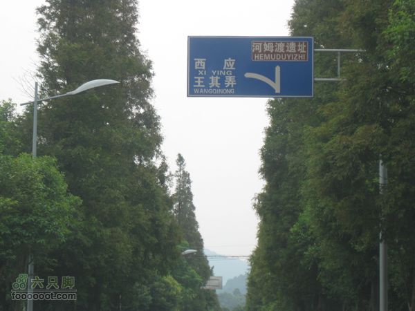 高桥-河姆渡IMG_5563