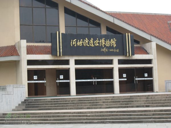高桥-河姆渡IMG_5571