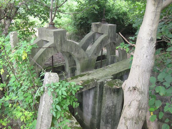 高桥-河姆渡IMG_5575