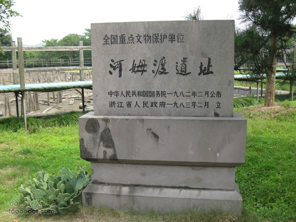 高桥-河姆渡IMG_5582