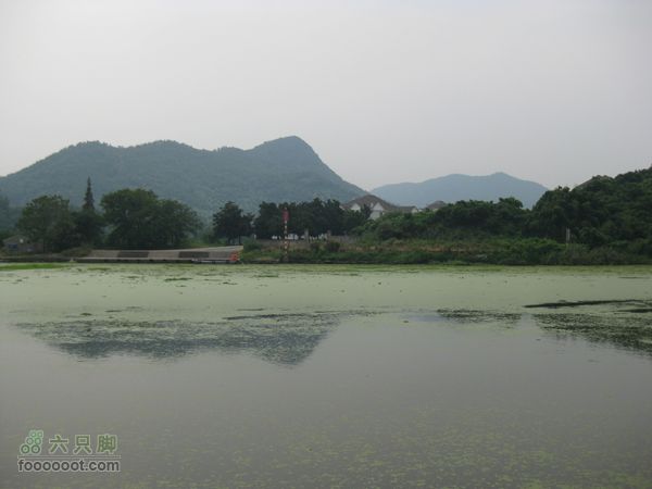 高桥-河姆渡IMG_5588
