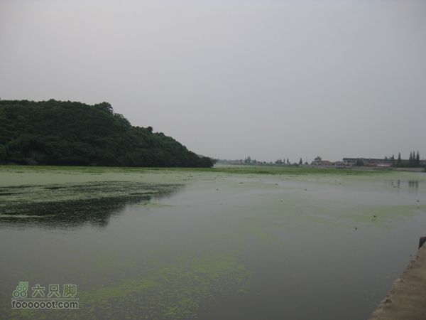 高桥-河姆渡IMG_5589