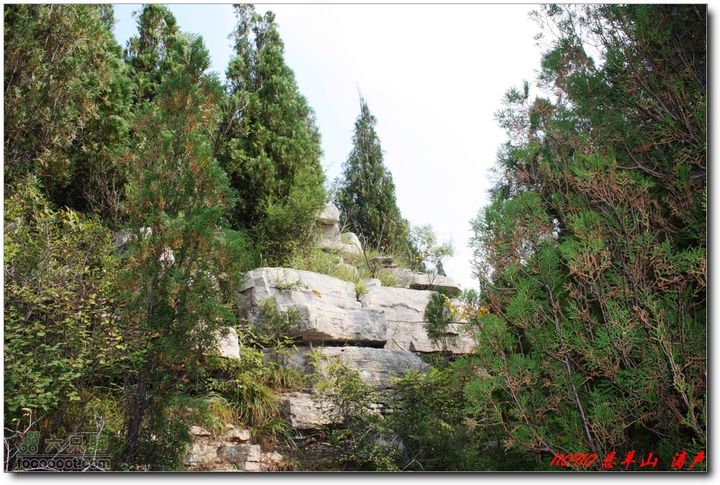 峨庄太平山悬羊山IMG_0202