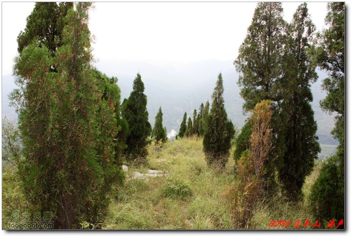 峨庄太平山悬羊山下山