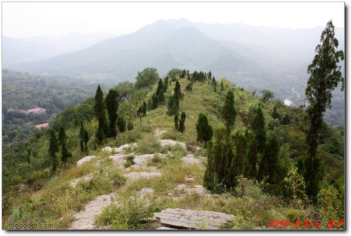 峨庄太平山悬羊山IMG_0212