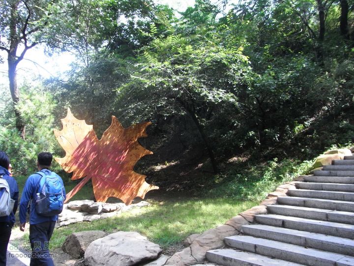 一直走关沟RIMG0173