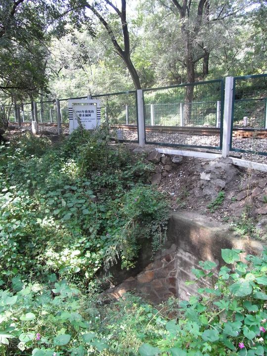 一直走关沟RIMG0175