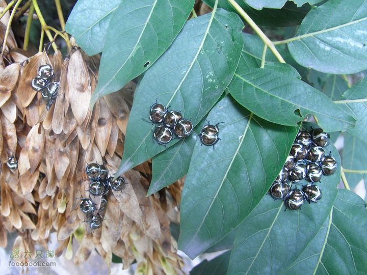 一直走关沟RIMG0250