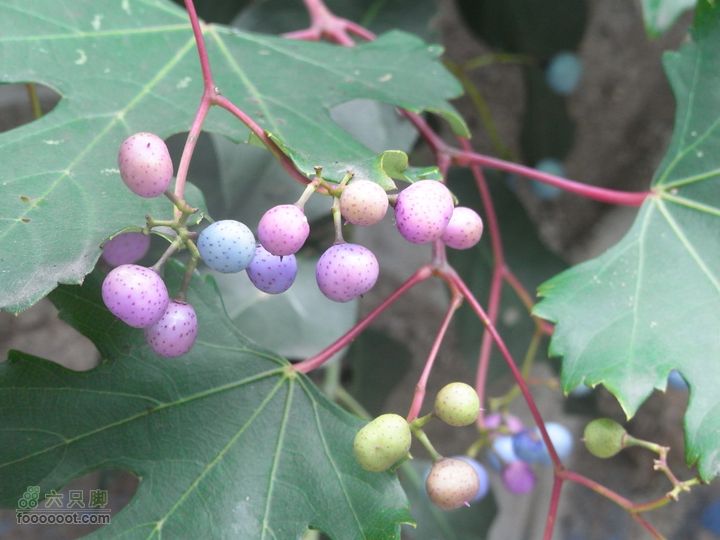 一直走关沟RIMG0260