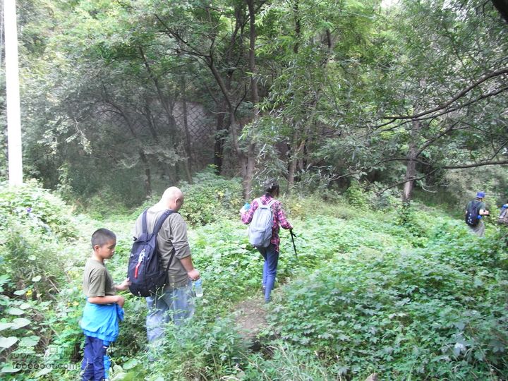 一直走关沟RIMG0370