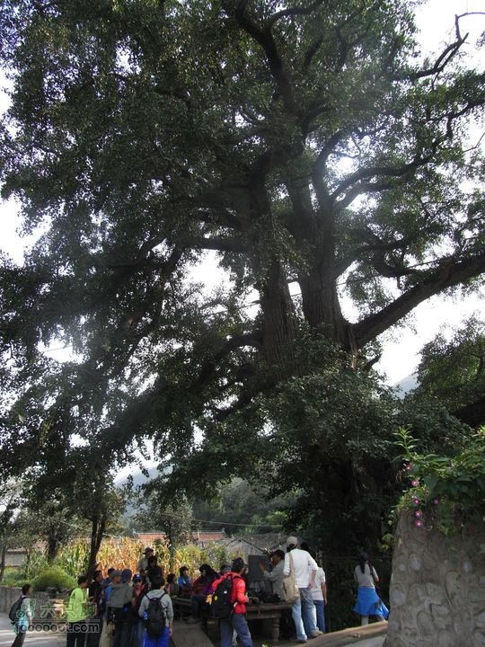 一直走关沟RIMG0398