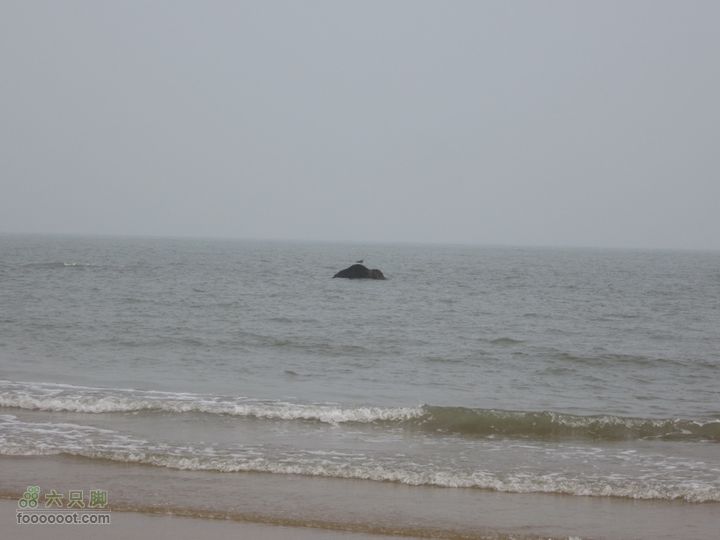 20110914海陆两栖自行车踏浪数公里，追海鸥逐浪花IMG_1508_GPS