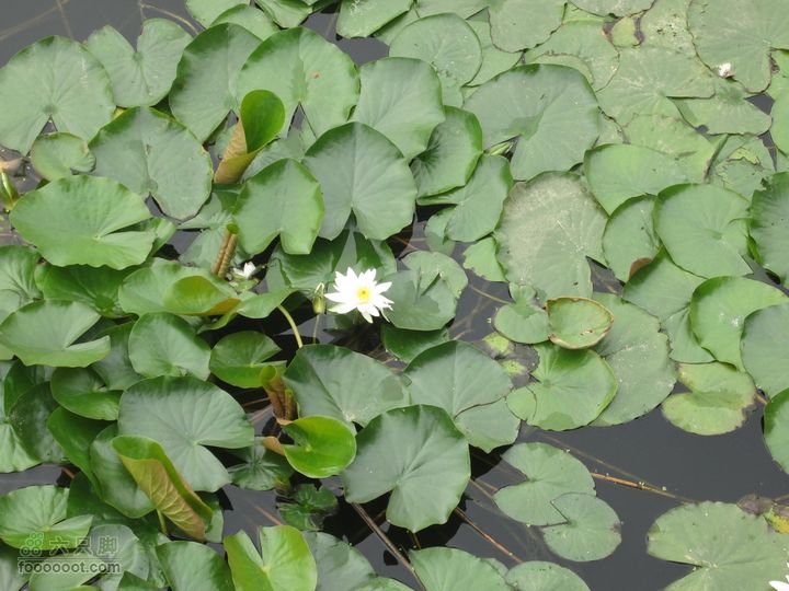 20110914海陆两栖自行车踏浪数公里，追海鸥逐浪花IMG_1469_GPS