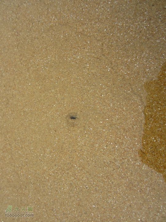 20110914海陆两栖自行车踏浪数公里，追海鸥逐浪花IMG_1475_GPS