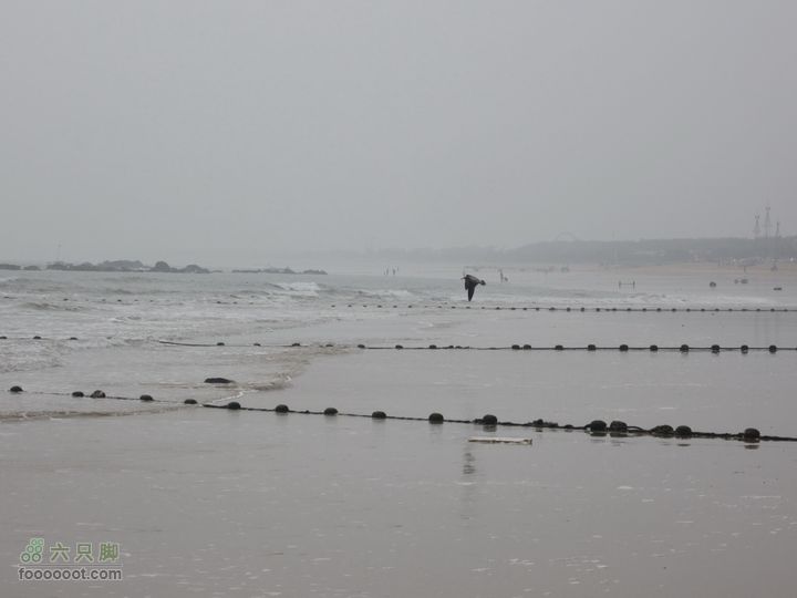 20110914海陆两栖自行车踏浪数公里，追海鸥逐浪花IMG_1515_GPS