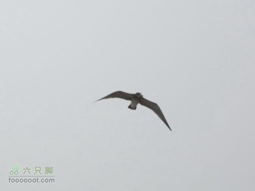 20110914海陆两栖自行车踏浪数公里，追海鸥逐浪花IMG_1525_GPS