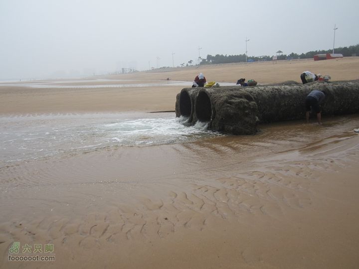 20110914海陆两栖自行车踏浪数公里，追海鸥逐浪花IMG_1531_GPS