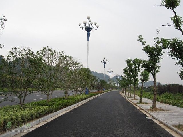 2011.9.9.海鸟参加上海骑众马自骑旅程之黄山到古镇深度IMG_6099_眸目压缩