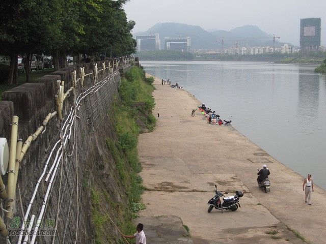 2011.9.9.海鸟参加上海骑众马自骑旅程之黄山到古镇深度IMG_6069_眸目压缩