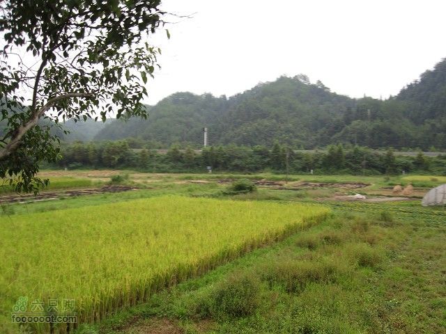 2011.9.9.海鸟参加上海骑众马自骑旅程之黄山到古镇深度IMG_6103_眸目压缩