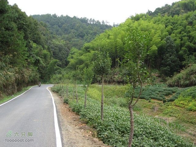2011.9.9.海鸟参加上海骑众马自骑旅程之黄山到古镇深度IMG_6357_眸目压缩