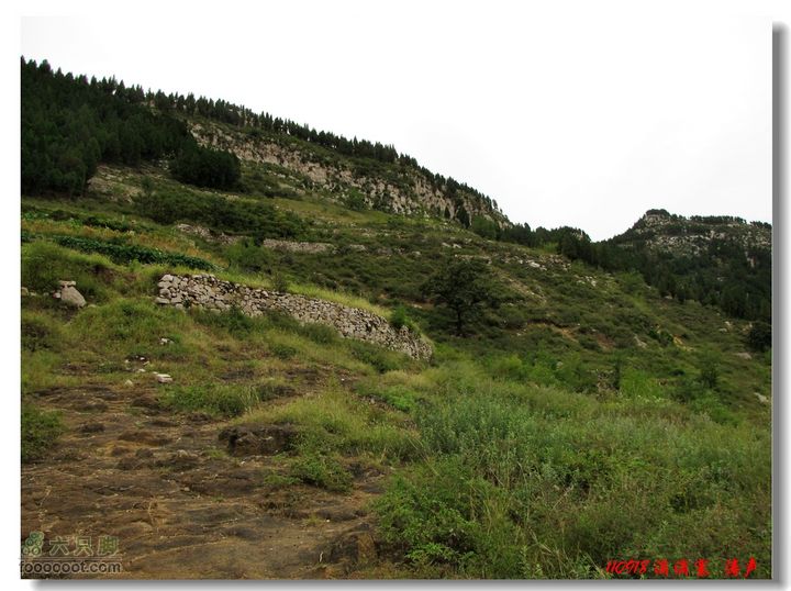 西余粮村滴滴寨窦家崖回头看山坡