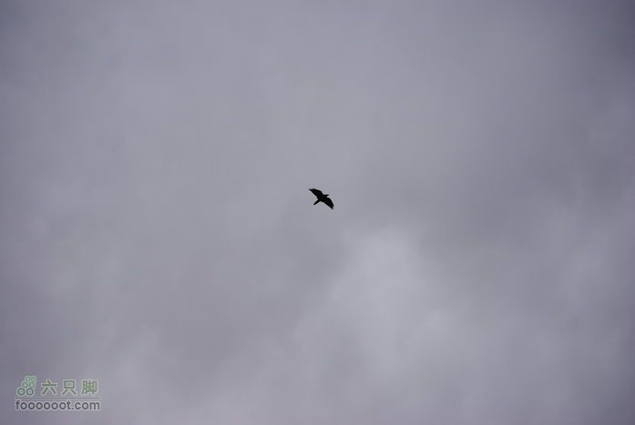 峰云社人文科考队员在翻译的带领下，登山并且参观天葬台山上的鹰