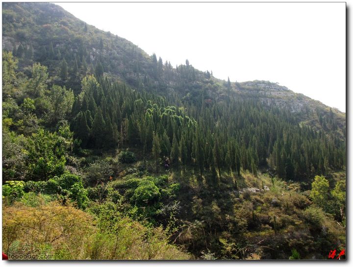 三台山孟梁台马鞍山下到山腰