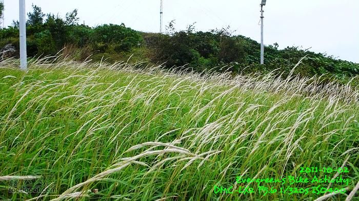 2011 10 02 港島與鴨利洲雙連環P1420546
