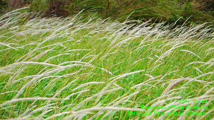 2011 10 02 港島與鴨利洲雙連環P1420548