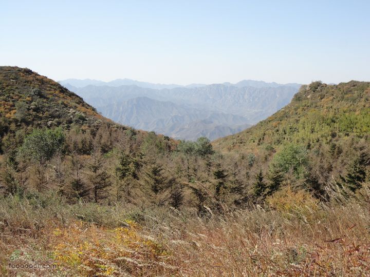 凤凰岭外围一圈侧望小风口